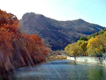 新澳天天开奖资料大全旅游团，九岁小宠后